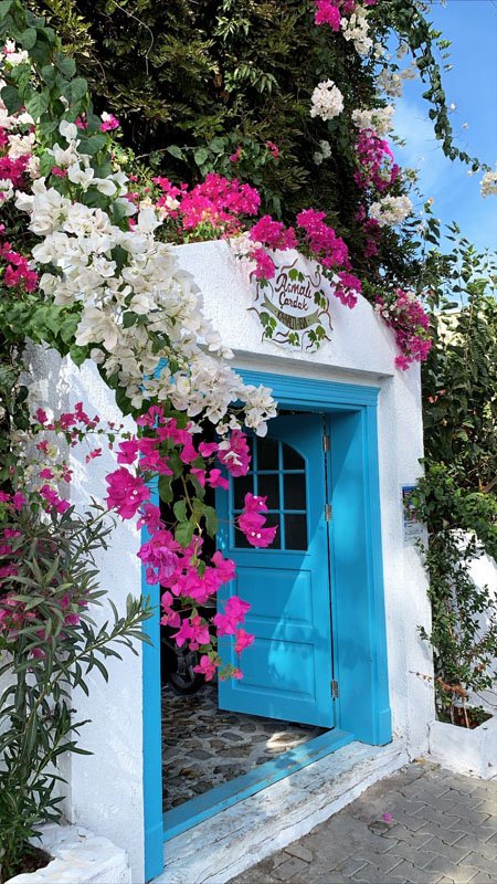 Asmalı Çardak atmosfer fotoğrafı