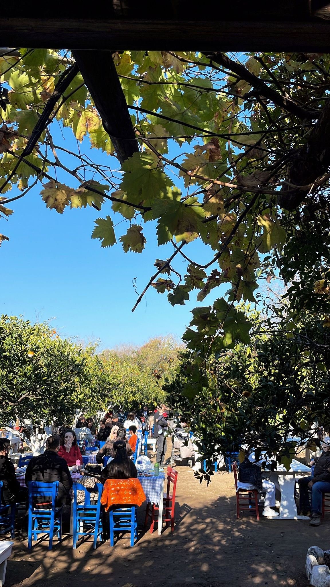 Asmalı Çardak galeri fotoğrafı 13