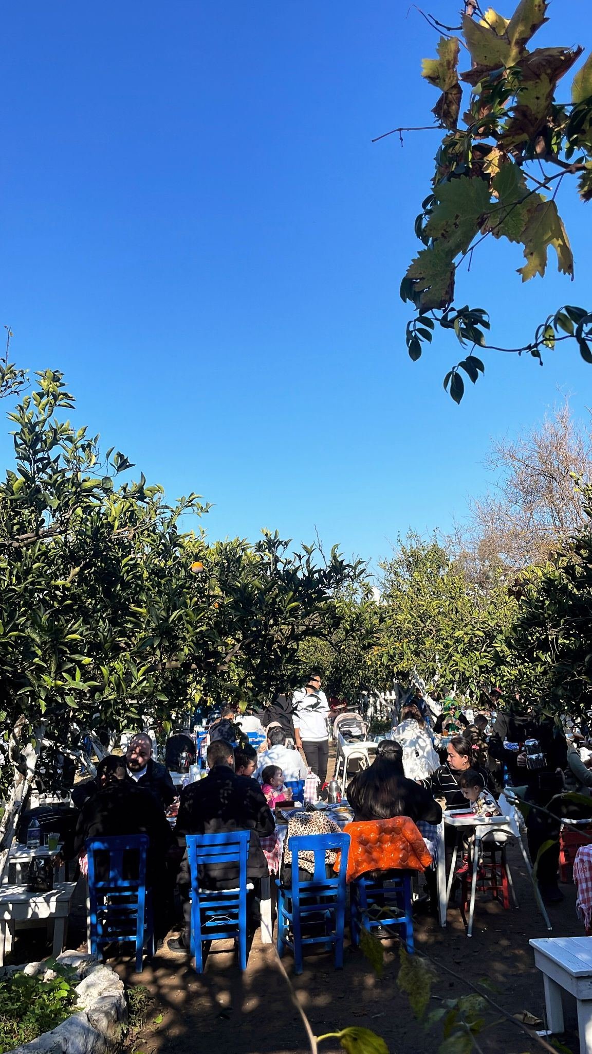 Asmalı Çardak galeri fotoğrafı 16