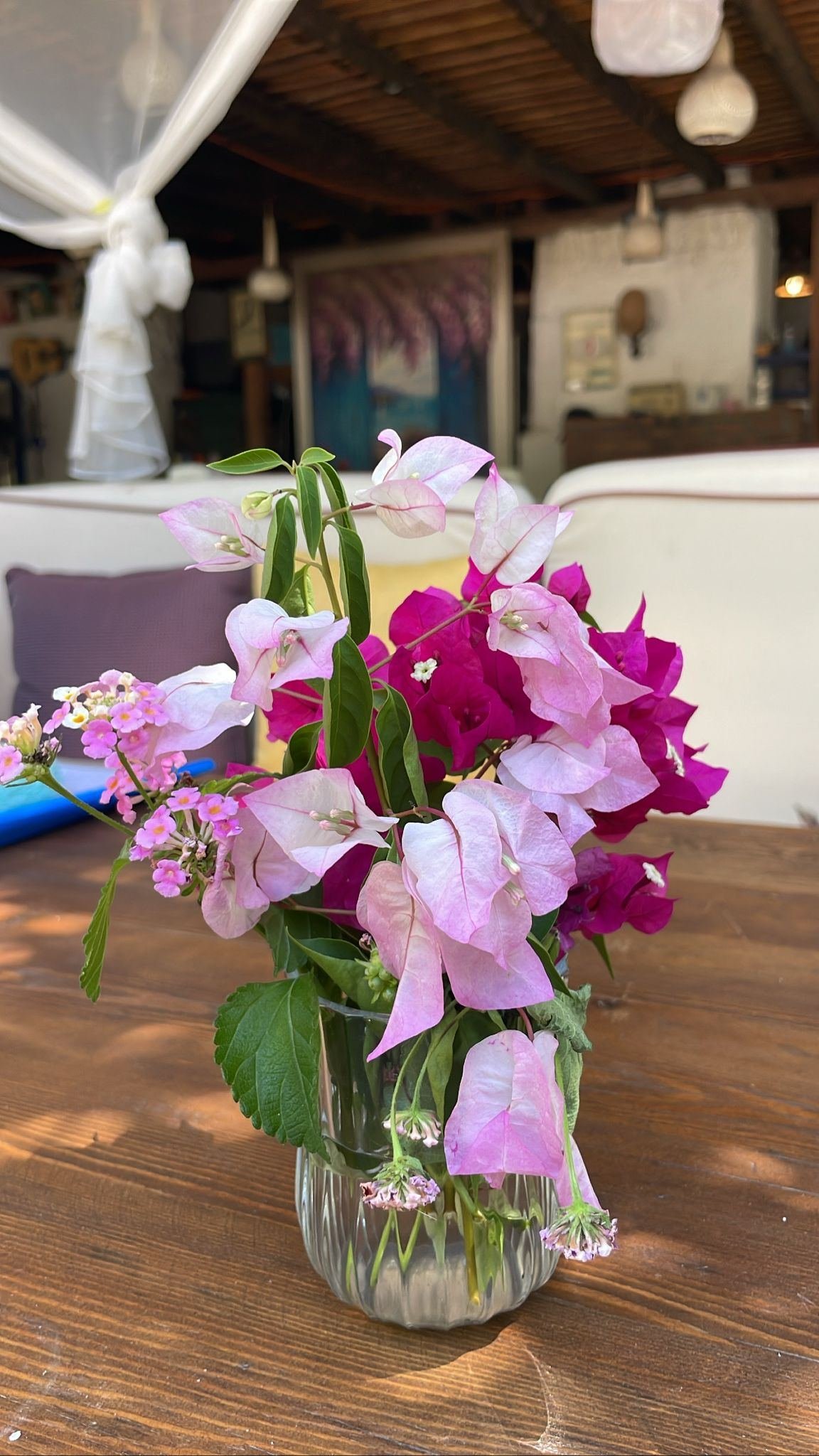 Asmalı Çardak galeri fotoğrafı 20